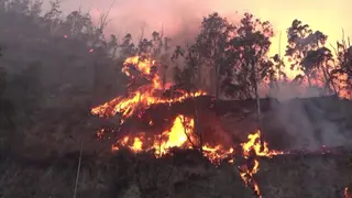 ভয়াবহ দাবানলের কবলে ইকুয়েডর