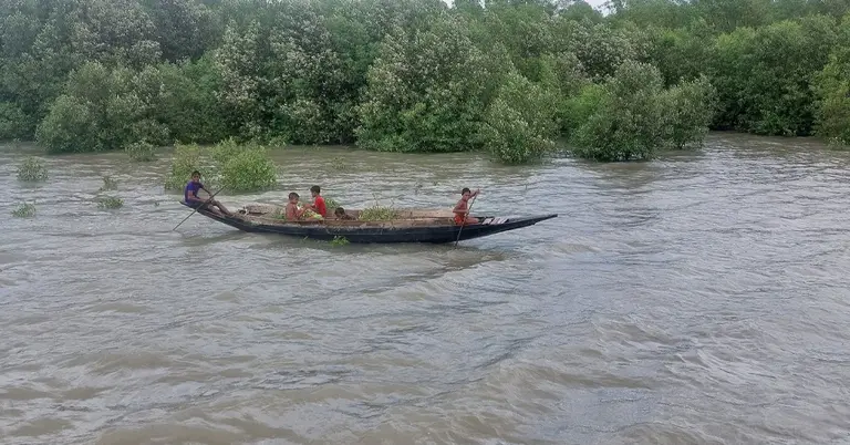 সুন্দরবনের জেলে